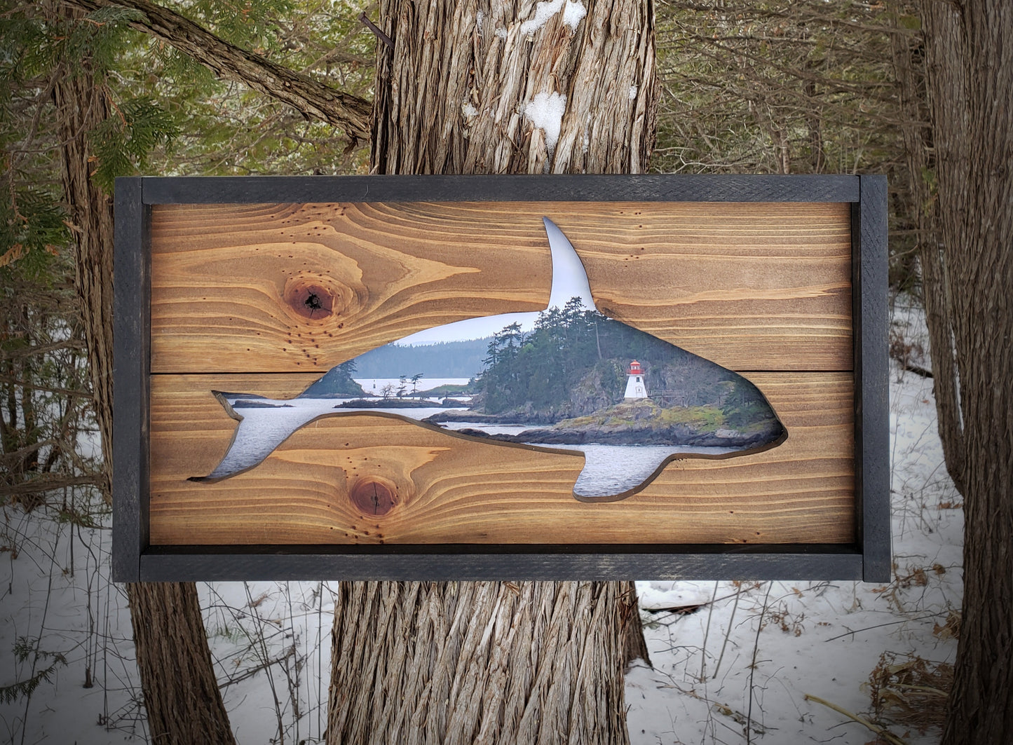 Orca Whale Photography & Wood Art * See Description